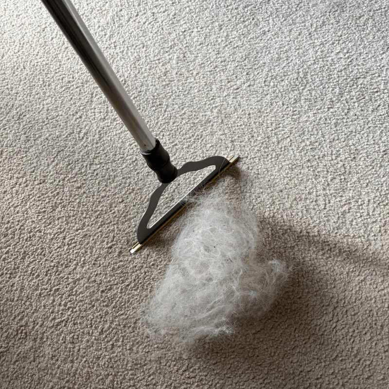 Floor Reach Pro by RemovFur — extendable handle carpet pet hair lifter