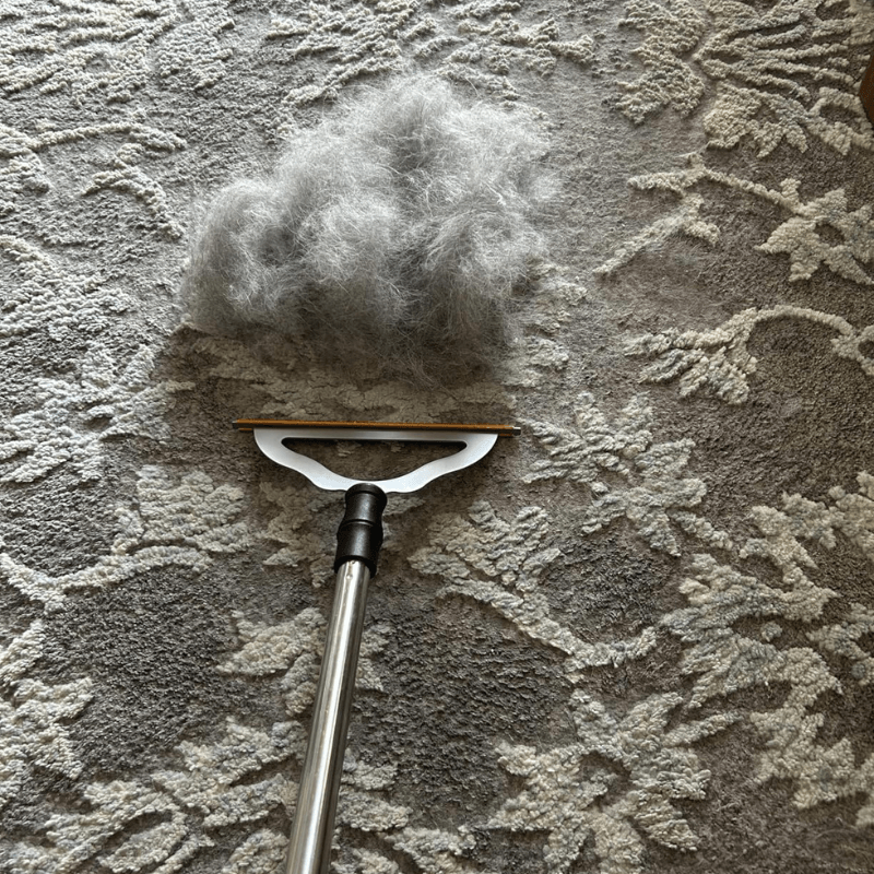 Floor Reach Pro lifting pet fur from deep carpet fibres