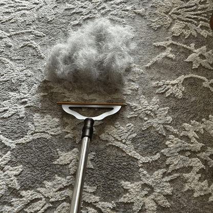 Floor Reach Pro lifting pet fur from deep carpet fibres