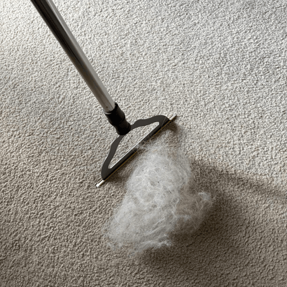 Floor Reach Pro by RemovFur — extendable handle carpet pet hair lifter